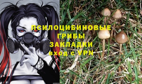 кокаин перу Новодвинск